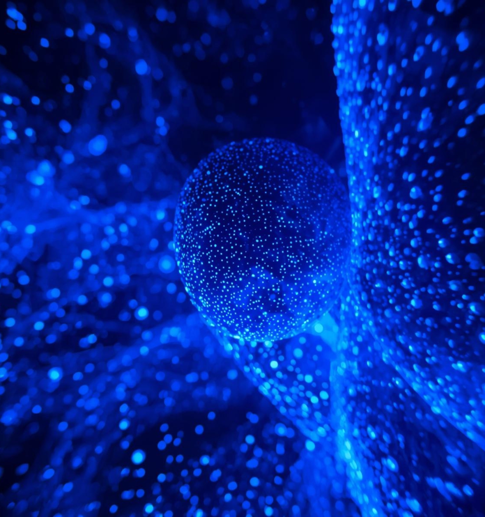 Categorias Blog 492 X 528 2